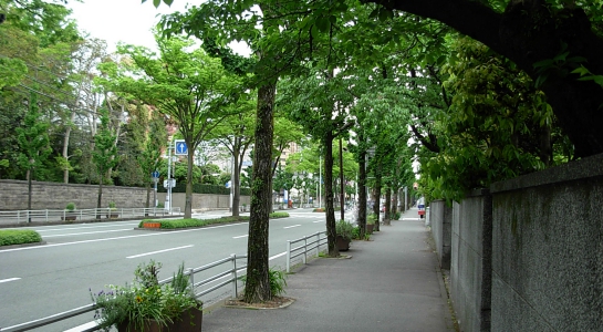 dscn0054a.jpg