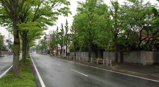 dscn0084.jpg